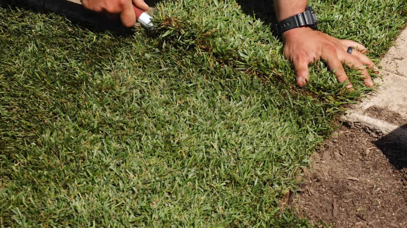 Sod Installation services in Maywood, CA